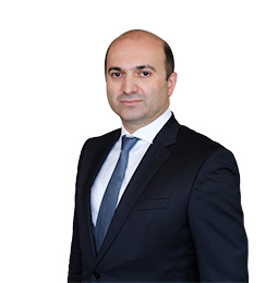 გიორგი ბადაშვილი